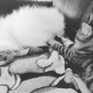 Meet your Posher, Guylaine